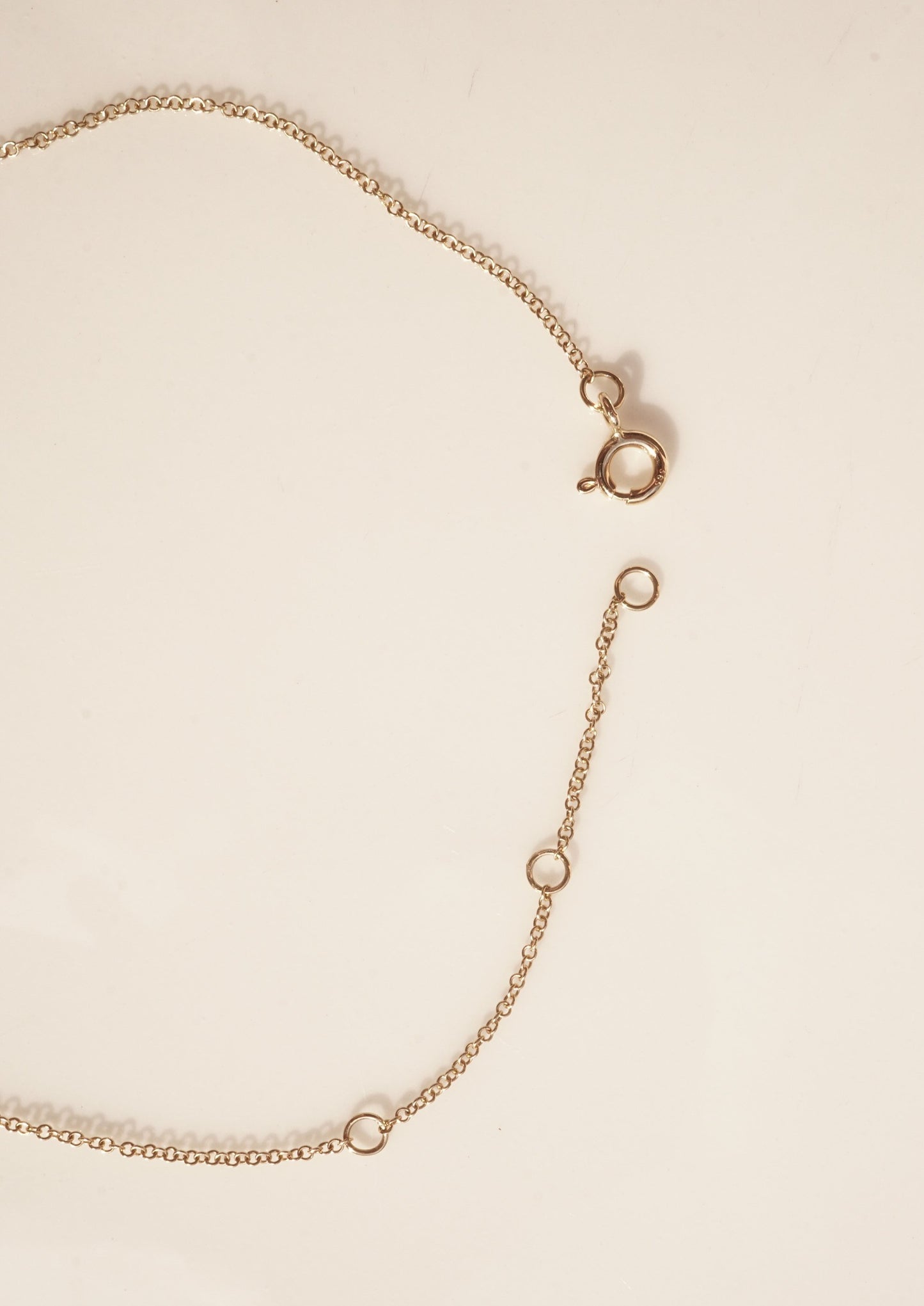 14k Gold Diamond Small DIsk Necklace